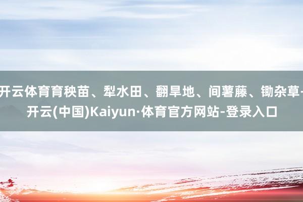 开云体育育秧苗、犁水田、翻旱地、间薯藤、锄杂草-开云(中国)Kaiyun·体育官方网站-登录入口
