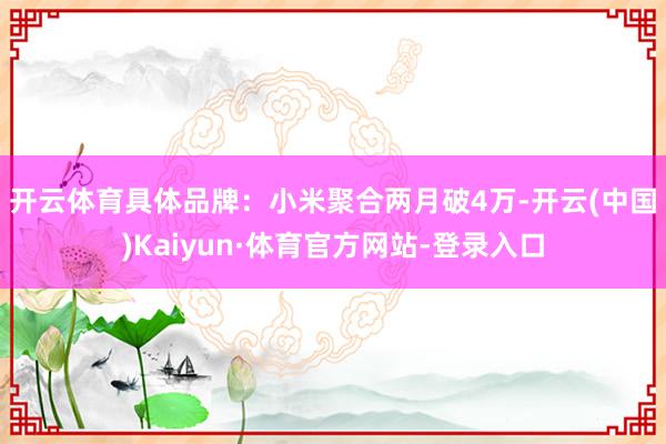 开云体育　　具体品牌：小米聚合两月破4万-开云(中国)Kaiyun·体育官方网站-登录入口